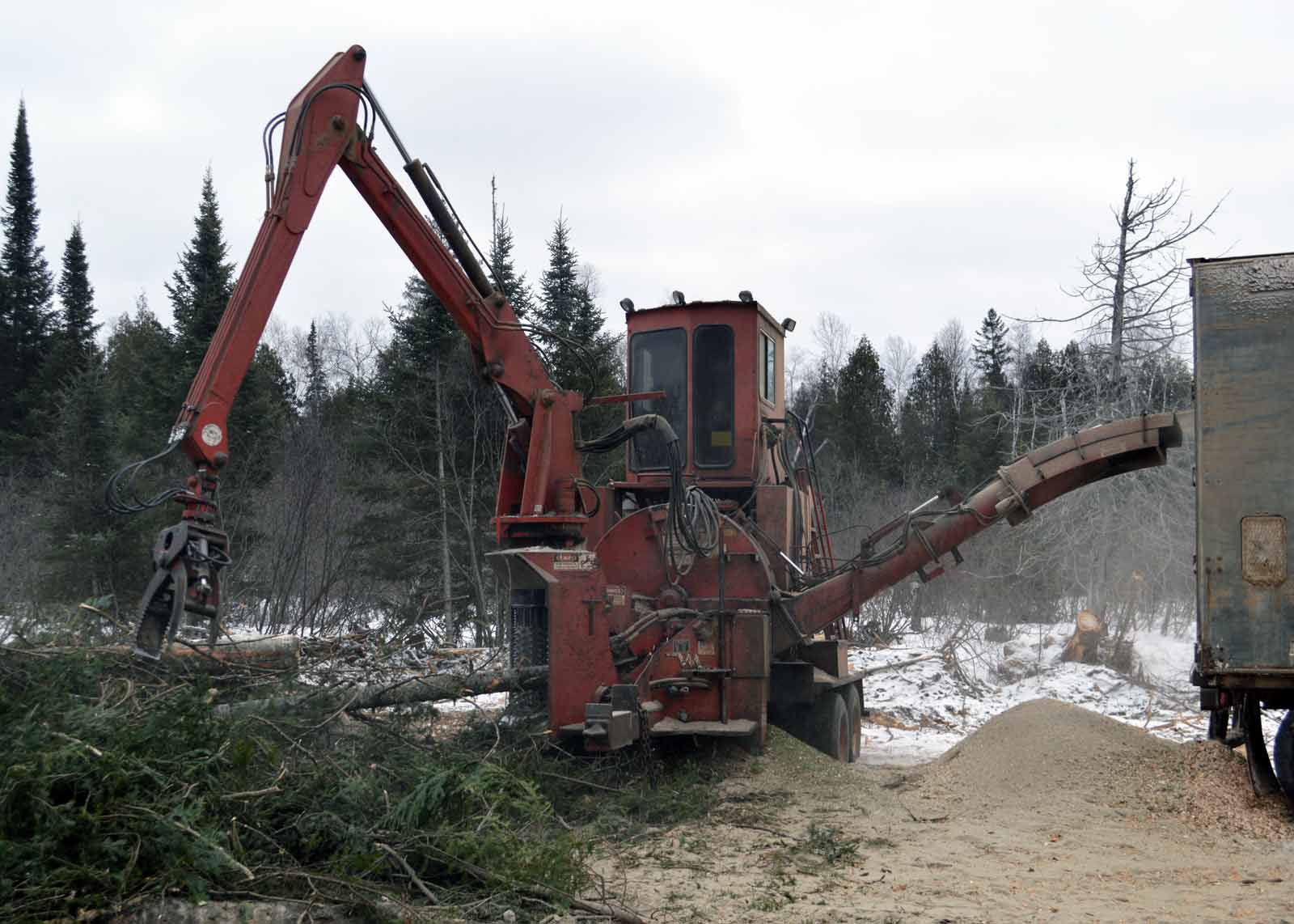 Hull Forest Products Biomass Production