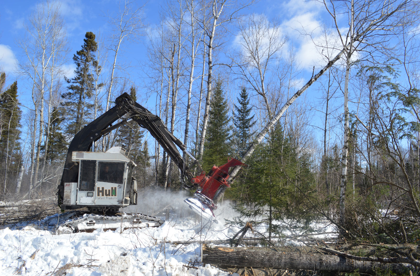 Hull Forest Products provides timber harvesting, logging, and cordwood firewood in Duluth Minnesota