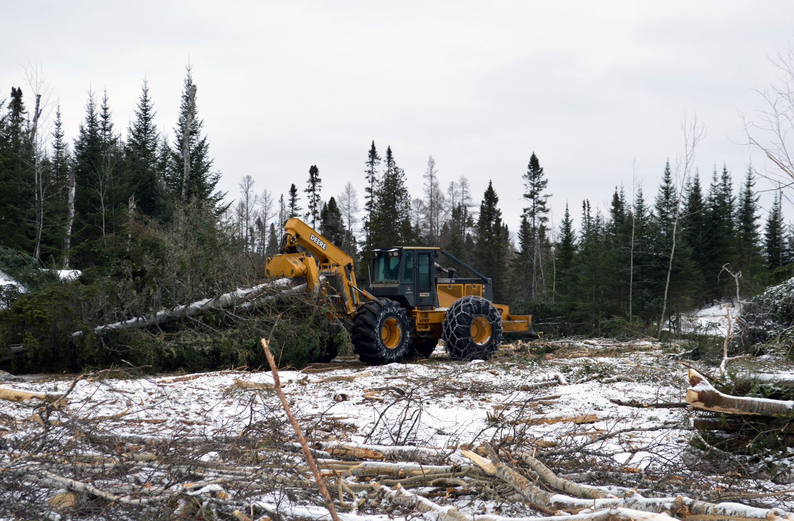 Hull Forest Products provides forest solutions and timber harvesting in Duluth Minnesota