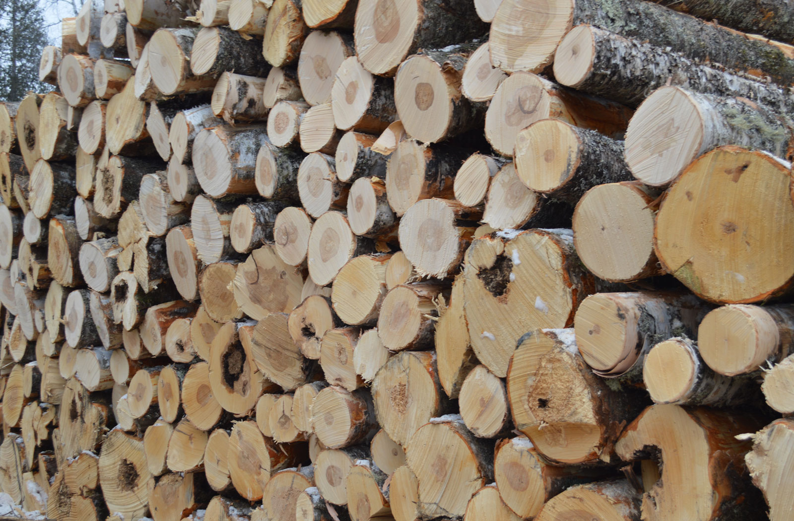 Hull Forest Products provides timber harvesting, logging, and cordwood firewood in Duluth Minnesota