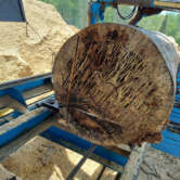 Hulls Sawmill - Logs ave dia is about 24 inches (1)