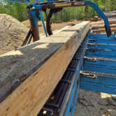 Hulls Sawmill - squared up into a 16 x 18 timber (1)