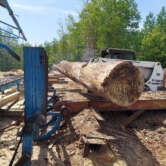 Picture 1 - Loading a log on the saw (2)